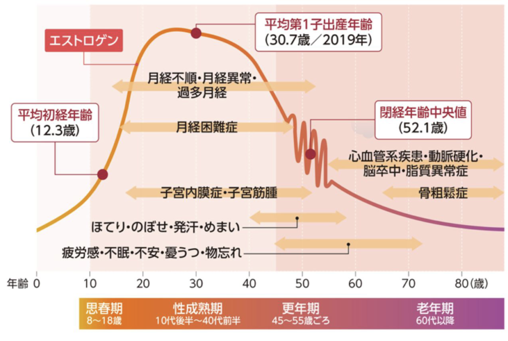 女性エストロゲン生産量推移グラフ