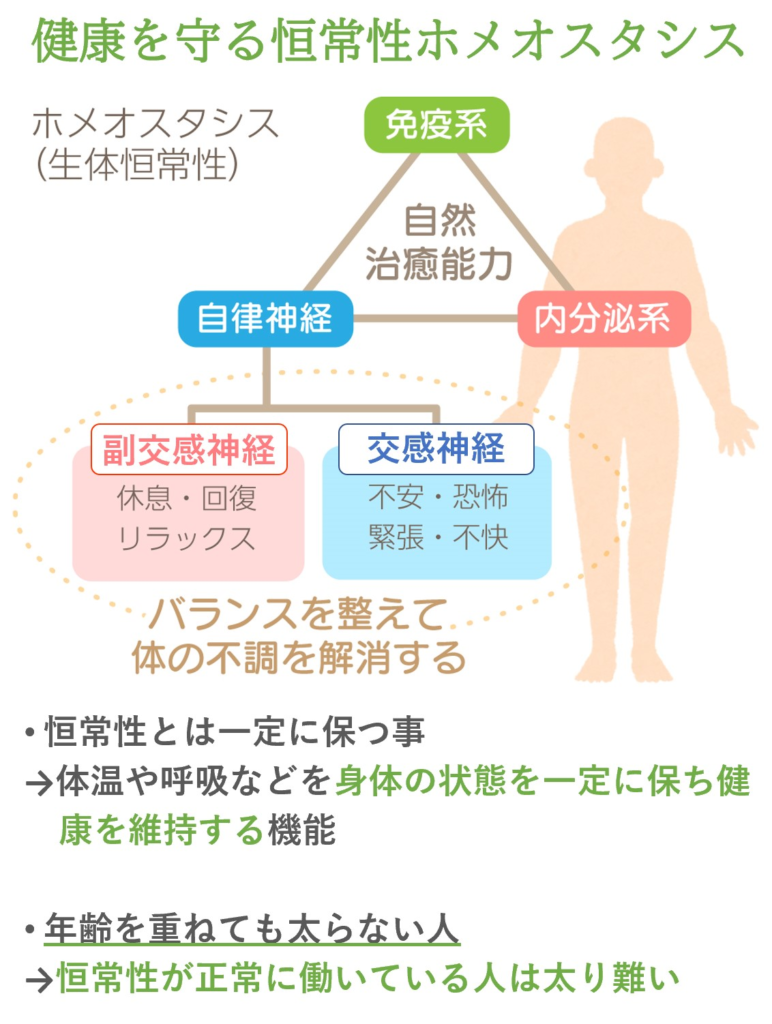 漢方は身体を整え落ち切った代謝をサポートします